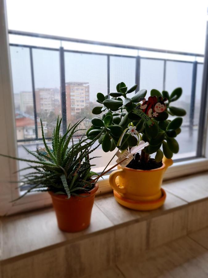 Cozy Apartment Арад Экстерьер фото
