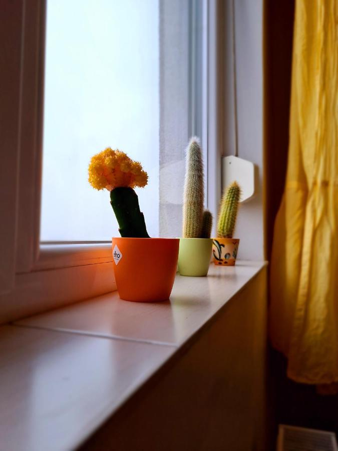 Cozy Apartment Арад Экстерьер фото